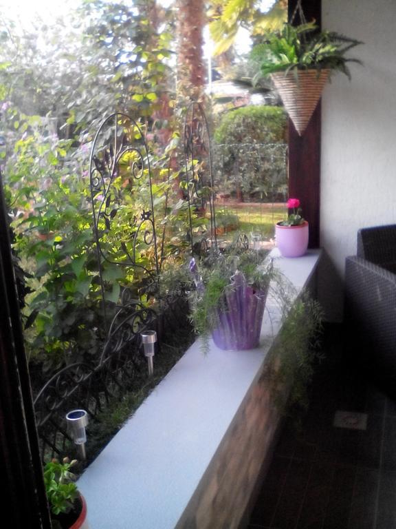 Apartment Poropat Porec Bilik gambar