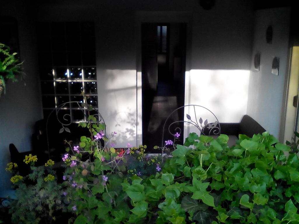 Apartment Poropat Porec Bilik gambar